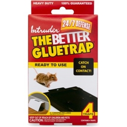 MOUSE GLUE TRAPS--INTRUDER-- (Pak of 4 TRAYS)